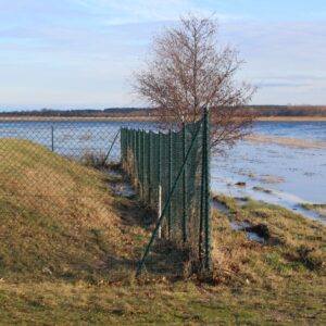 Petition zum Hochwasserschutz in Michaelsdorf-Teil 2